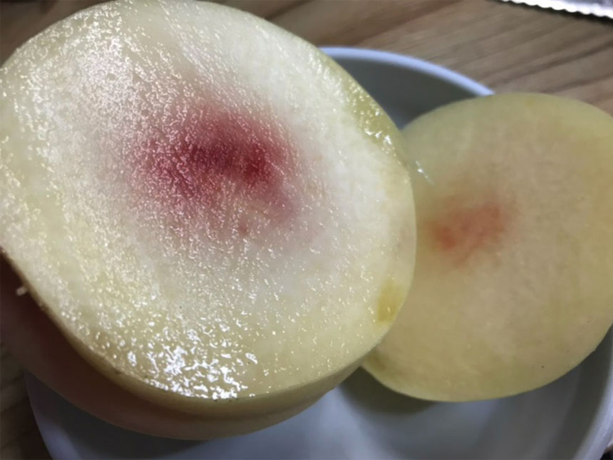 복숭아나무 묘목에서 수확한  유실수 백도 복숭아의 사진