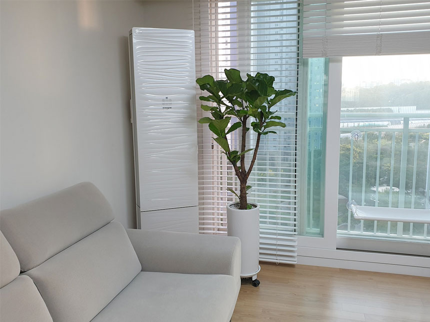 실내공기정화식물 키우기쉬운식물 미세먼지정화식물 떡갈고무나무