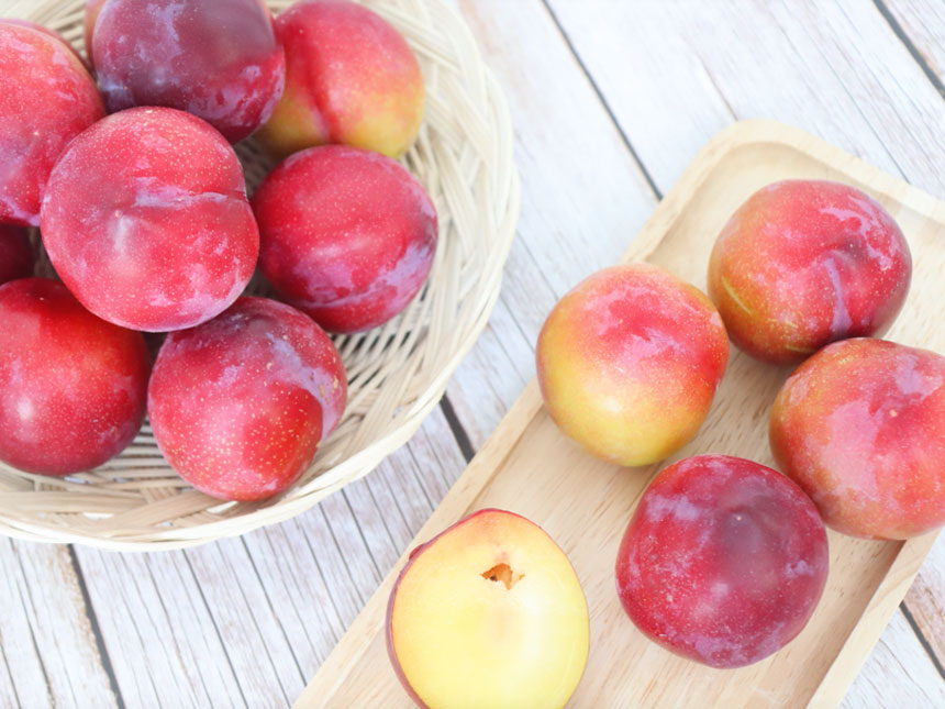 수확을 한 대석 자두나무 묘목의 열매를 찍은 모습