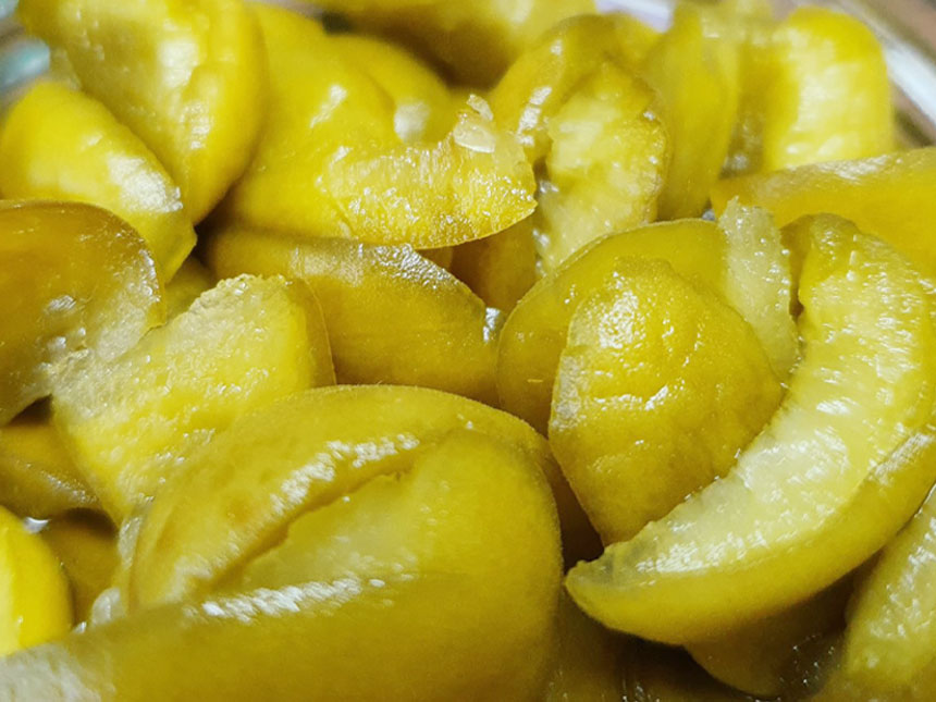 열매 크기가 크고 단단한 청매실 나무의 열매