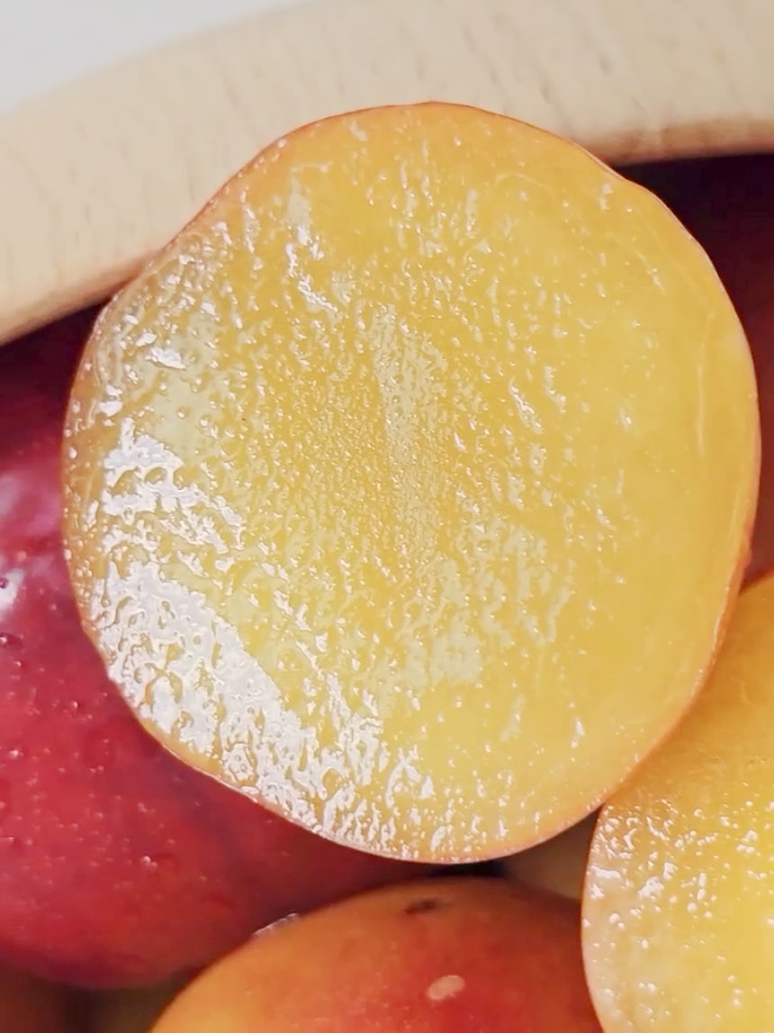 추희 자두나무 열매를 반으로 자른 단면의 모습